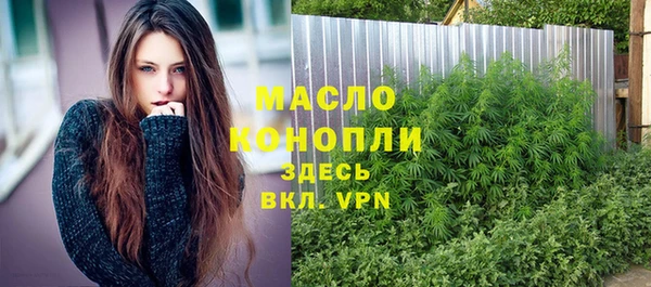 индика Белокуриха