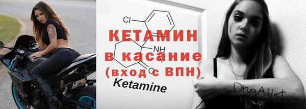 индика Белокуриха