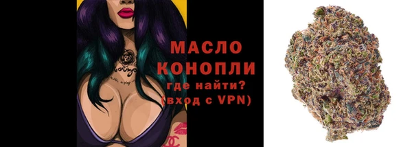 индика Белокуриха