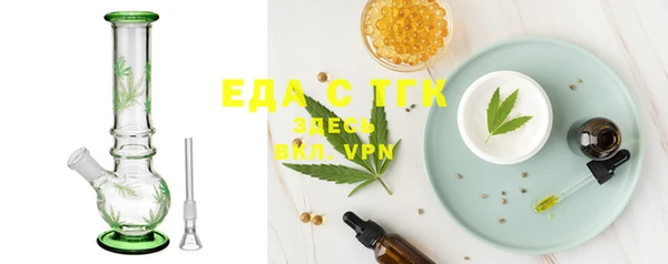 индика Белокуриха