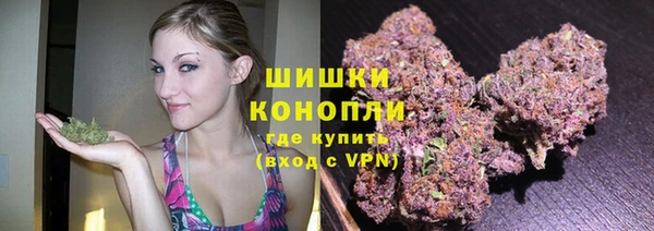 индика Белокуриха